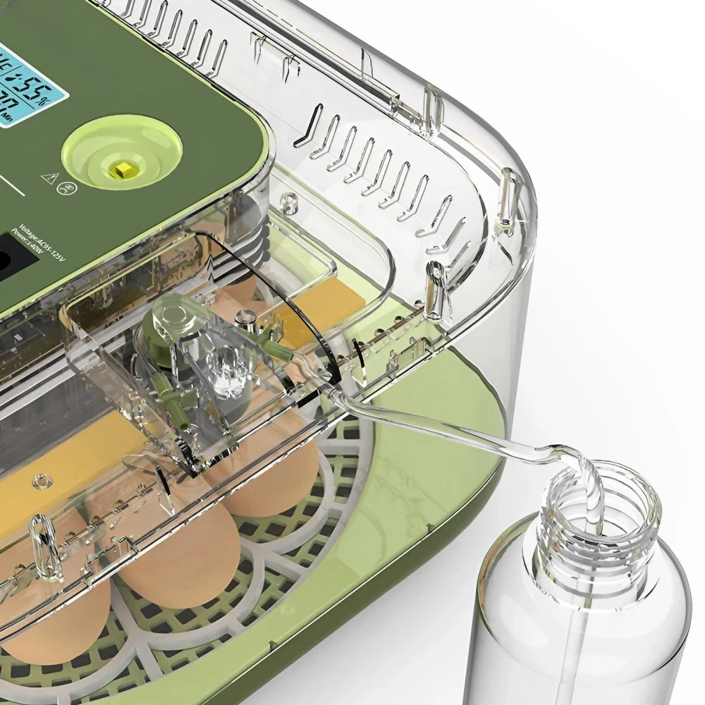 Egg Incubator -12 Egg Capacity