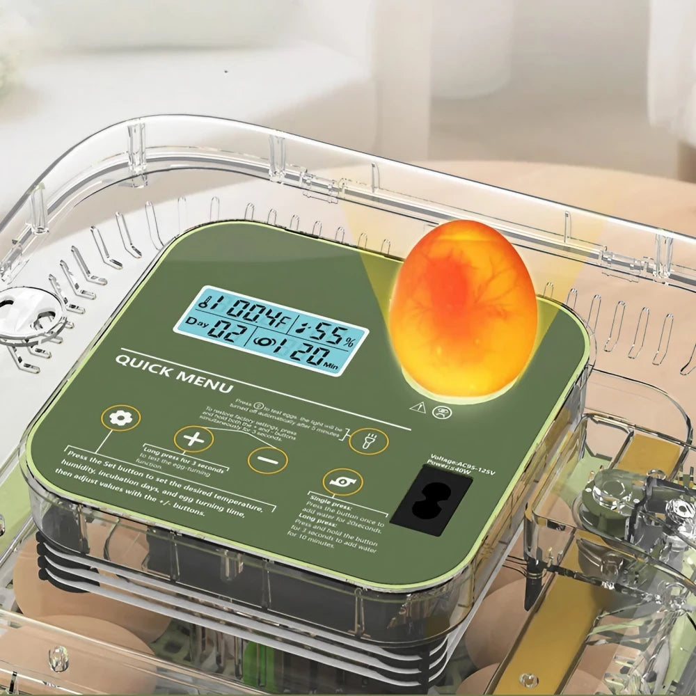 Egg Incubator -12 Egg Capacity