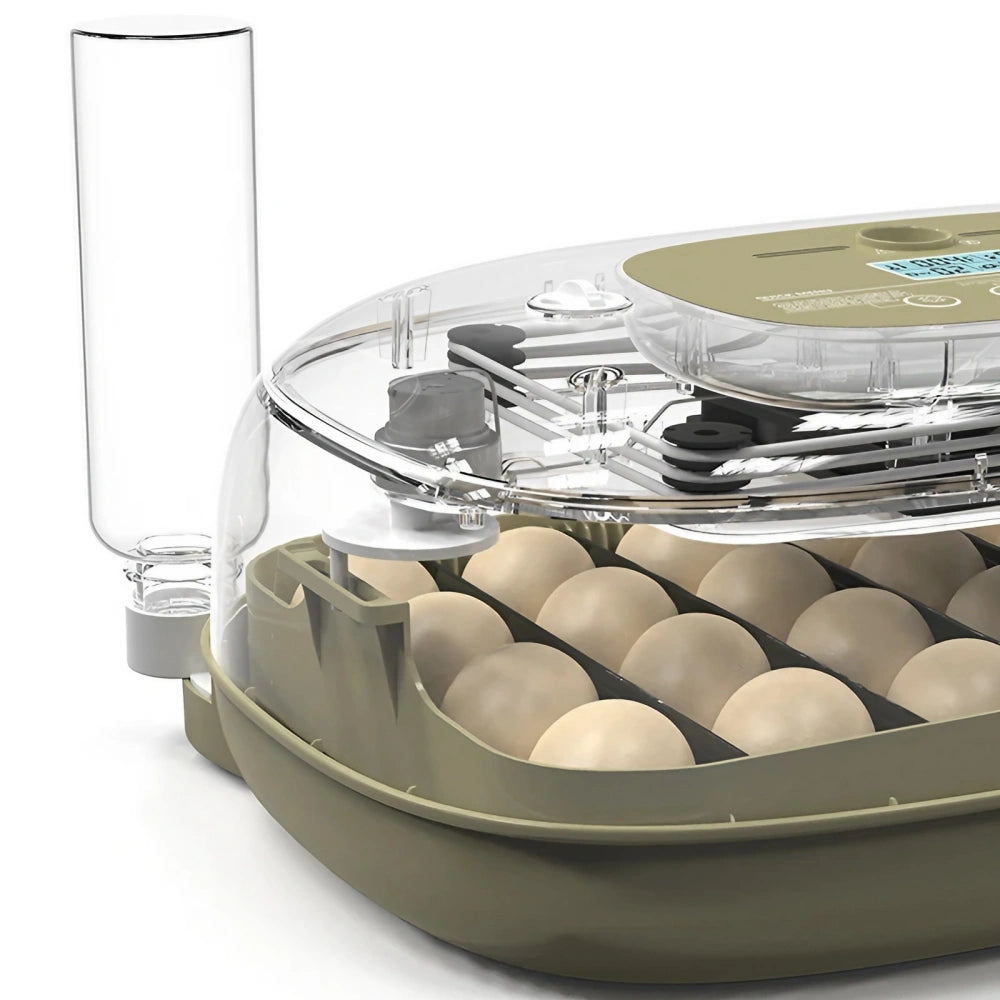 Egg Incubator -24 Egg Capacity