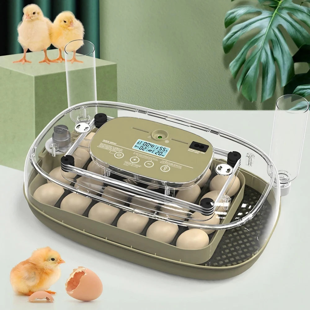 Egg Incubator -24 Egg Capacity