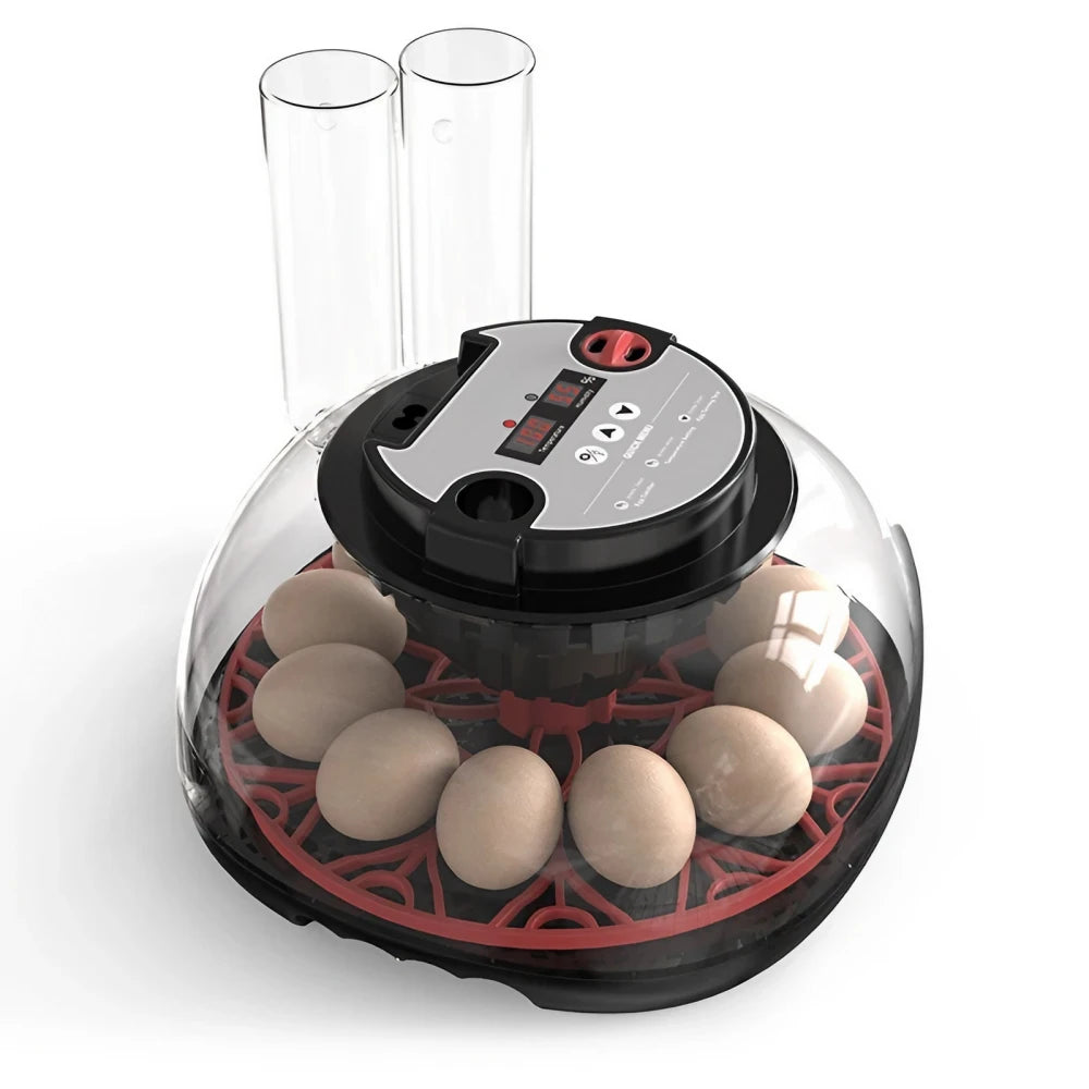 Egg Incubator -12 Egg Capacity (K12)