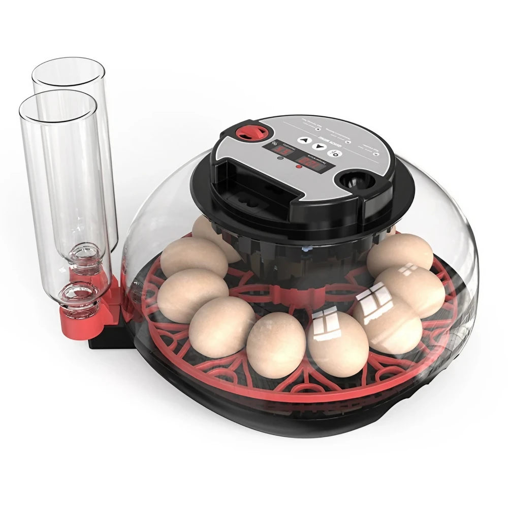 Egg Incubator -12 Egg Capacity (K12)