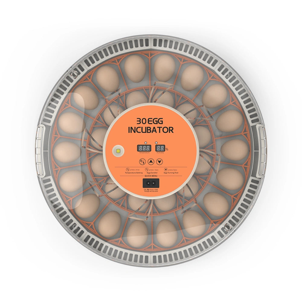 Egg Incubator -30 Egg Capacity