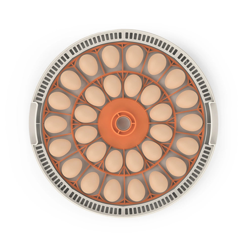 Egg Incubator -30 Egg Capacity
