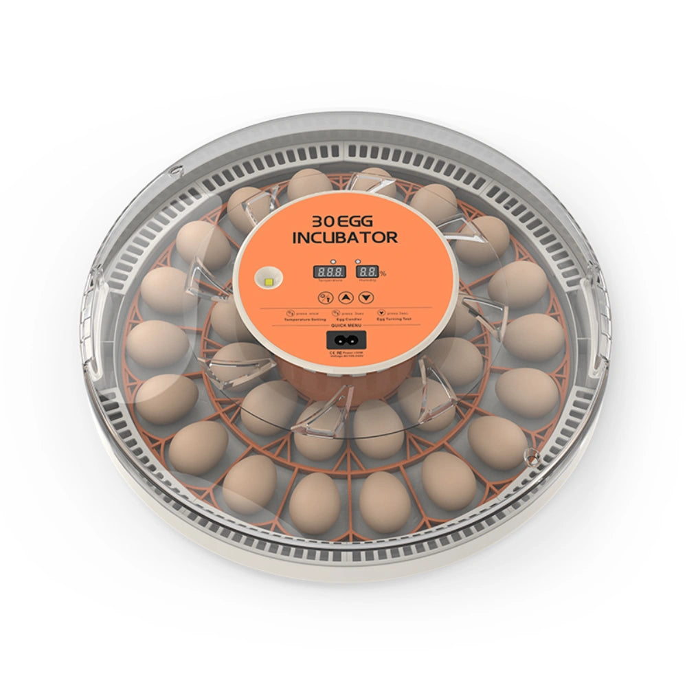 Egg Incubator -30 Egg Capacity