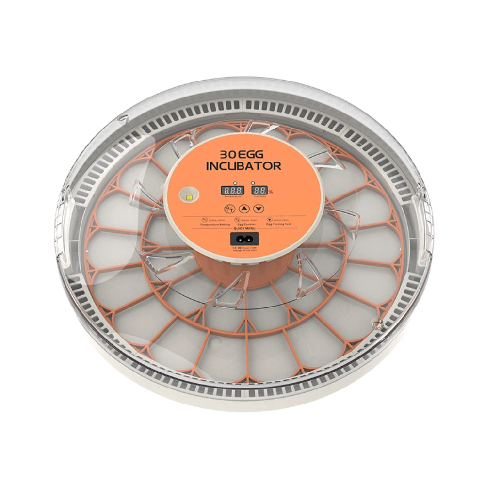 Egg Incubator -30 Egg Capacity
