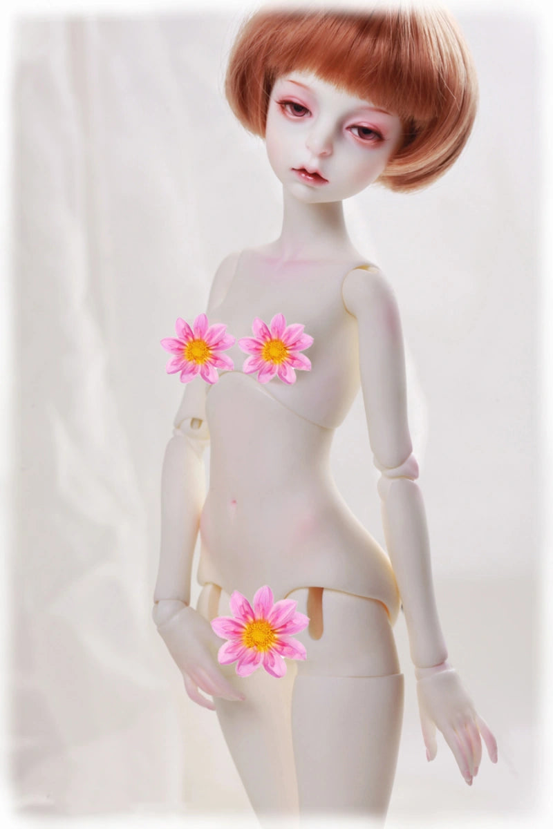 Dollzone 42cm 1/4 BJD Doll Body (B45-012)