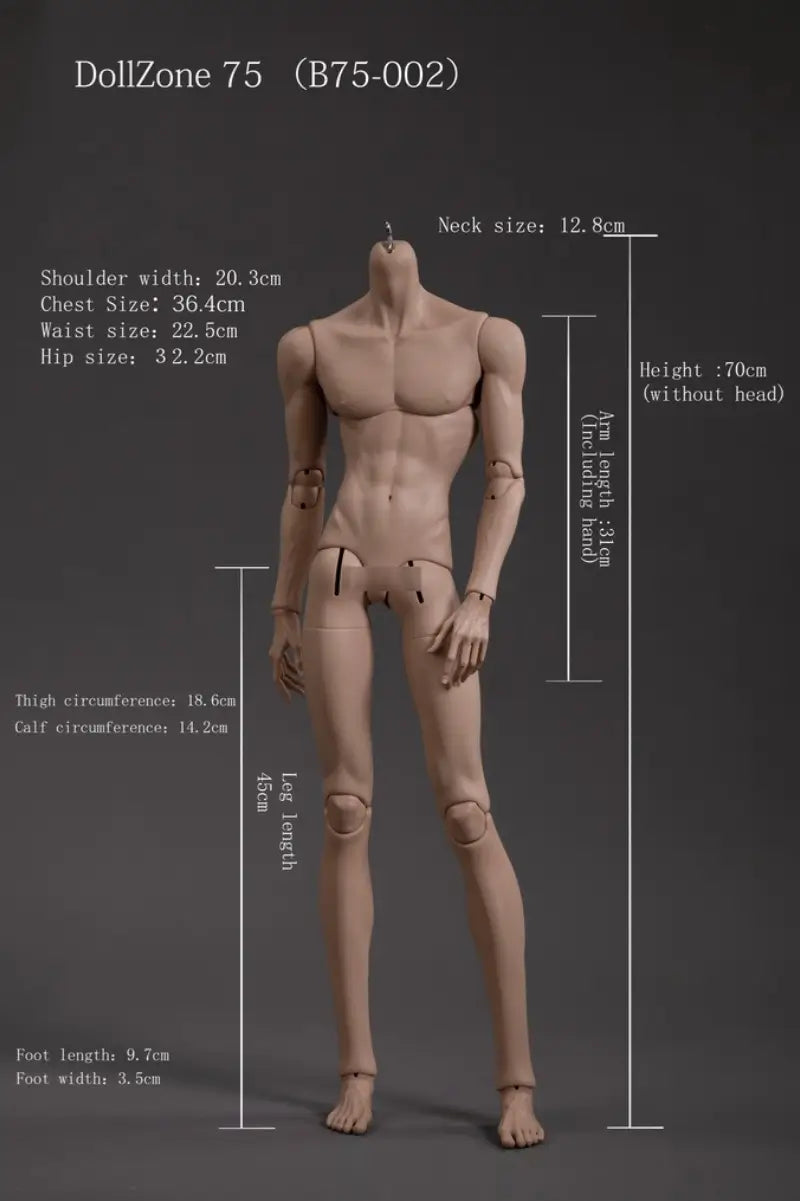 Dollzone B75-002 BJD Doll Thin Muscle Body