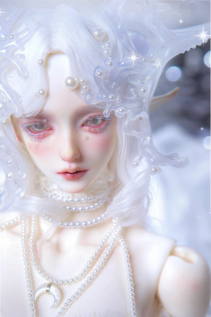 Dollzone Echo 1/3 BJD Doll Head