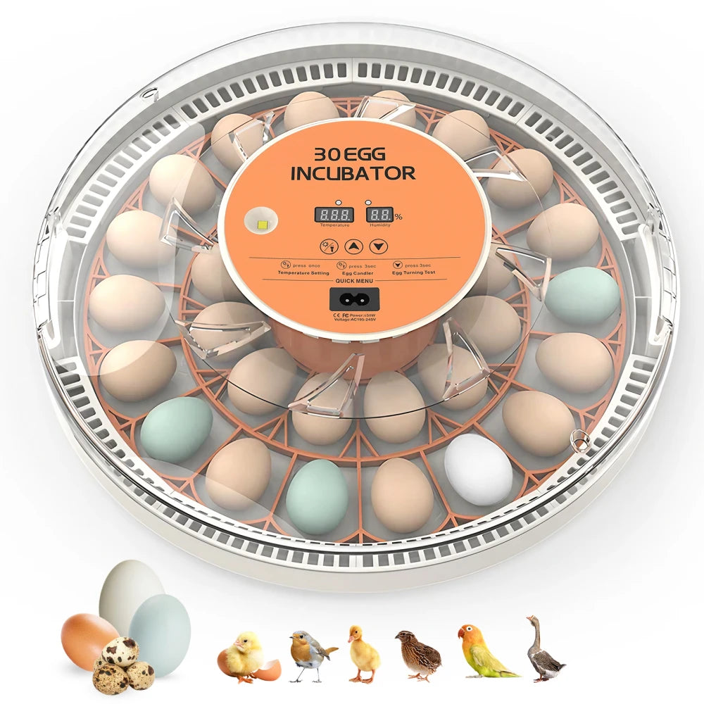 Egg Incubator -30 Egg Capacity