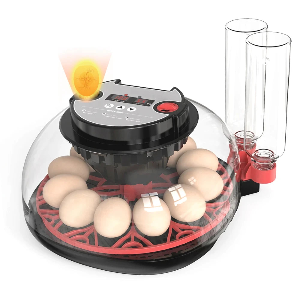 Egg Incubator -12 Egg Capacity (K12)