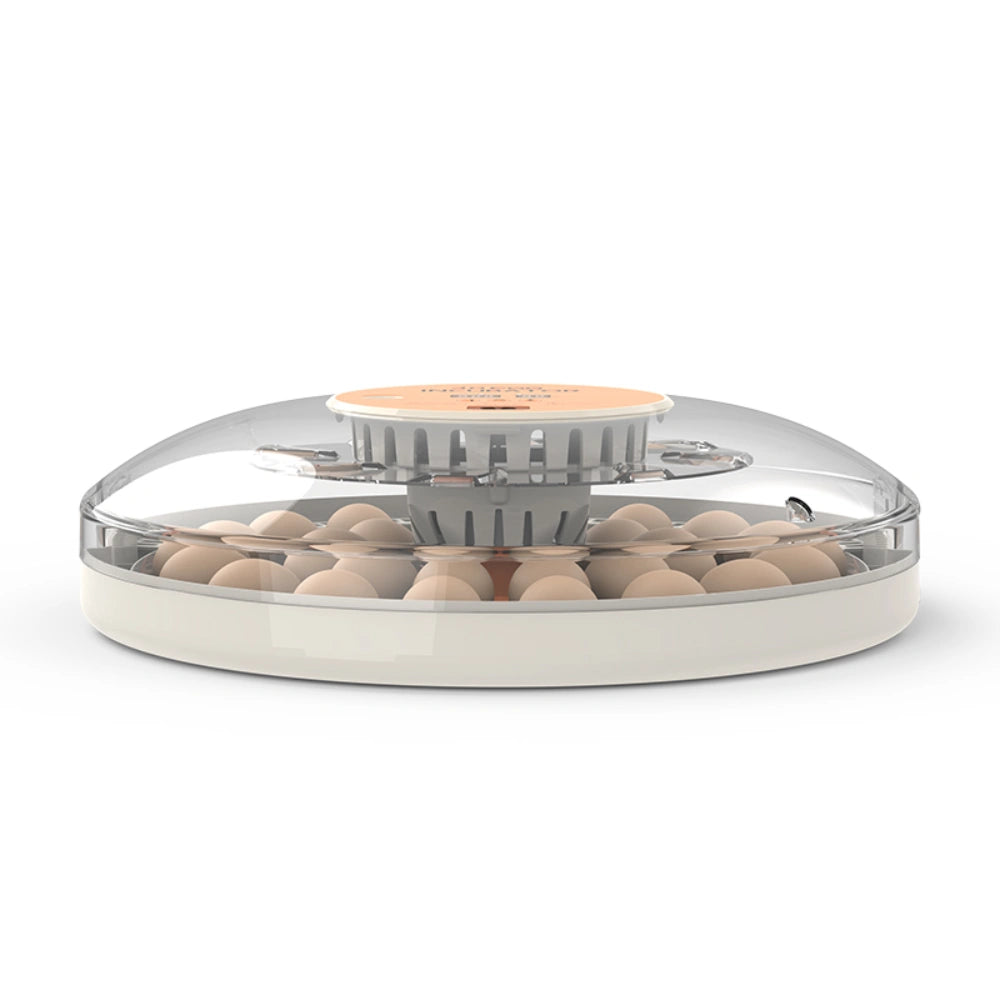 Egg Incubator -30 Egg Capacity