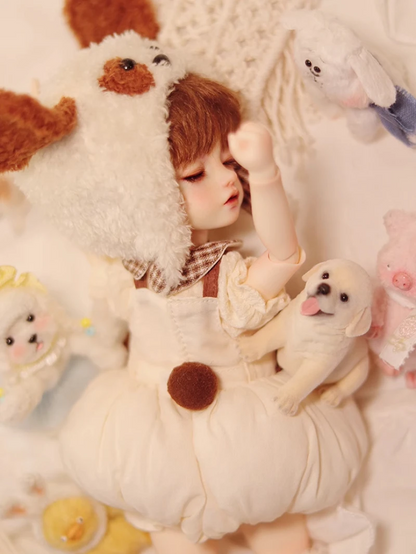 FairyCastle M-Yugo 1/6 BJD Doll | Full Doll (Close Eyes)