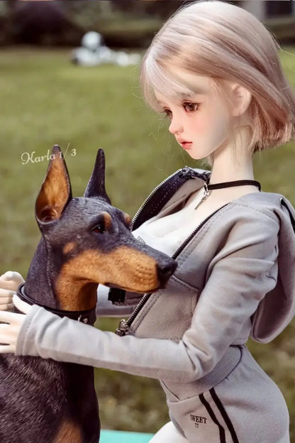 QianQian Karla 1/3 BJD Doll Head