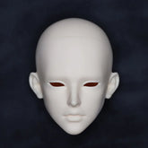 Ao Ling Shi HOSHINO 1/3 BJD Doll Head Only